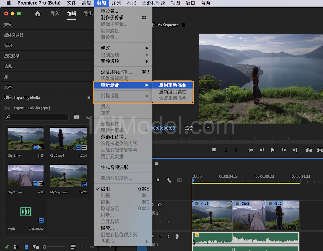 Premiere Pro (Beta) 中的“重新混合”